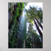 Poster Cascade et falaise (Devant)