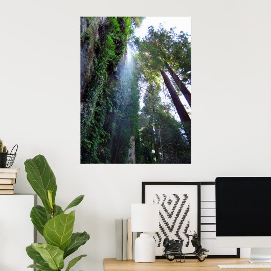 Poster Cascade et falaise (Bureau à domicile)