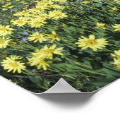 Poster Cascade et fleurs sauvages dans la prairie alpine, (Coin)