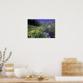 Poster Cascade et fleurs sauvages dans la prairie alpine, (Cuisine)