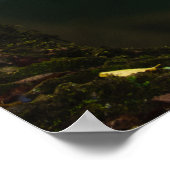 Poster Cascade étonnante avec lumière du soleil (Coin)