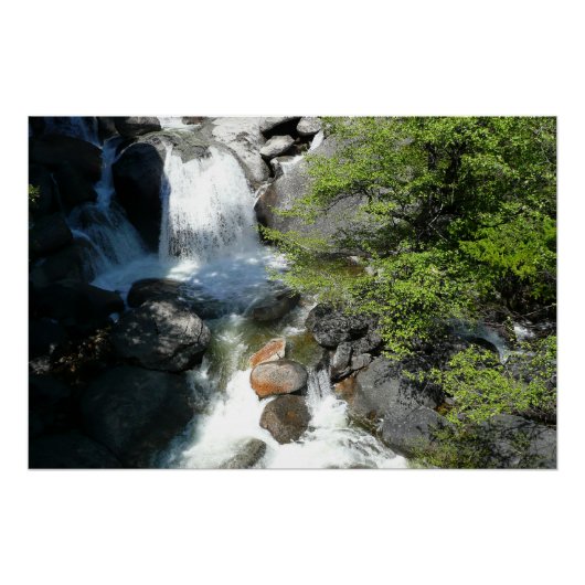 Poster Cascade Falls dans le parc national de Yosemite (Devant)