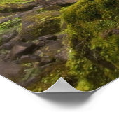 Poster Cascade floue autour de verdure luxuriante en Oreg (Coin)