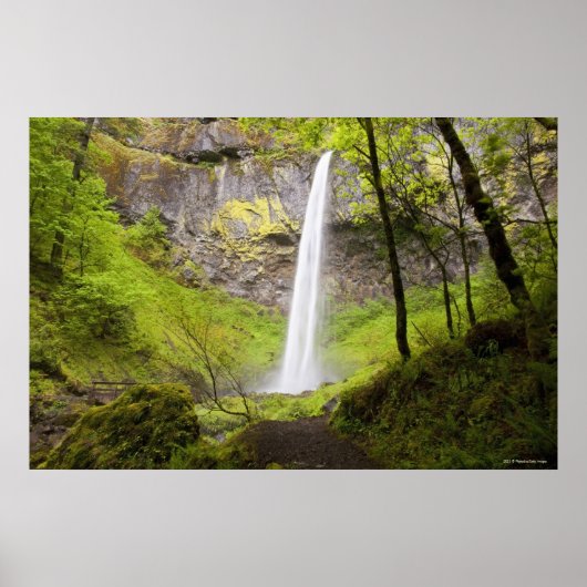 Poster Cascade floue autour de verdure luxuriante en Oreg (Devant)