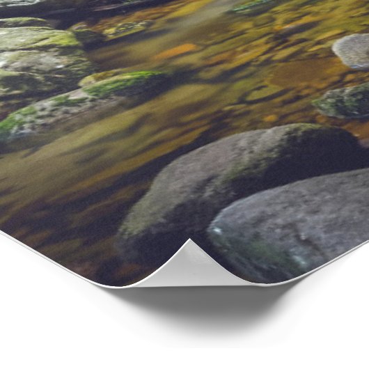 Poster Cascade forestière (Coin)