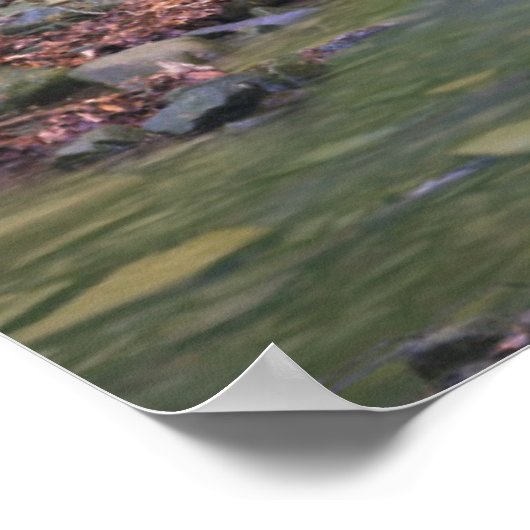 Poster Cascade forestière (Coin)