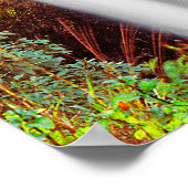 Poster Cascade hawaïenne (Coin)