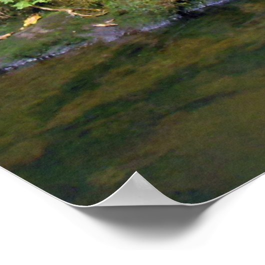 Poster Cascade hawaïenne (Coin)