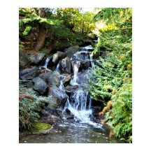 Cascade Jardin botanique Van Dusen Vancouver