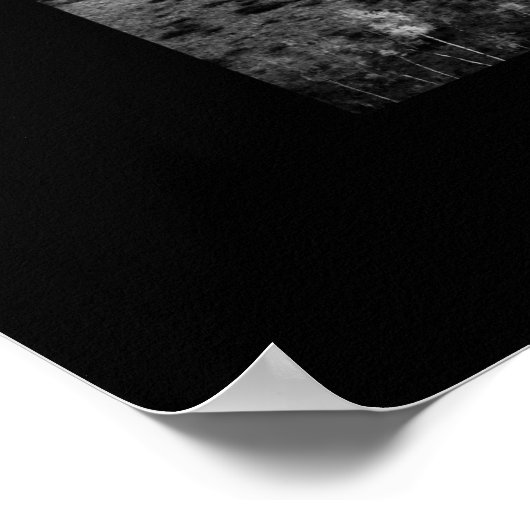 Poster Cascade - Lac (Coin)