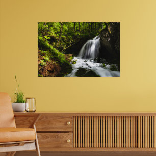 Poster Cascade magique dans une forêt verte enchantée