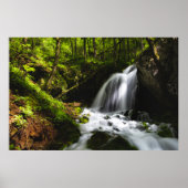 Poster Cascade magique dans une forêt verte enchantée (Devant)
