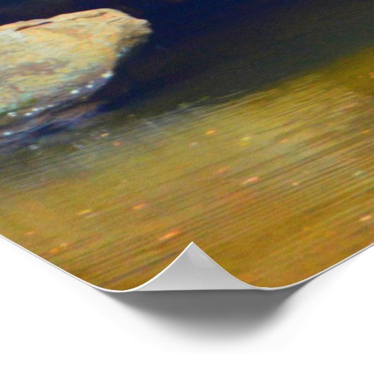 Poster Cascade Merveilleuse (Coin)