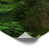 Poster Cascade naturelle verte fraîche (Coin)