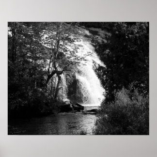 Poster Cascade noire et blanche à travers les arbres 16x2