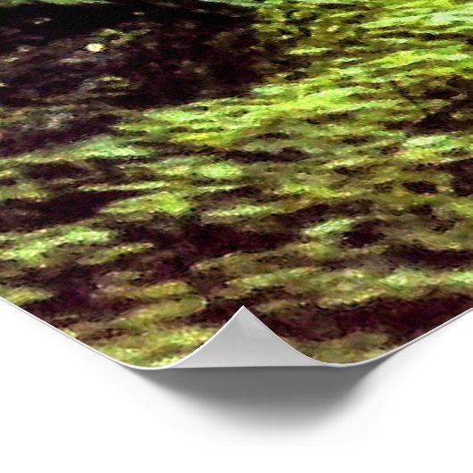 Poster "Cascade" photo (Coin)