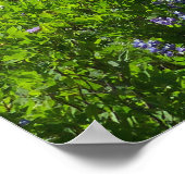 Poster Cascade Range du parc national du Mont Rainier (Coin)