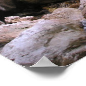 Poster Cascade sous le château de Neuschwanstein, Allemag (Coin)