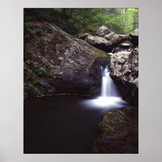 Poster Cascade sur la rivière Rose (Devant)