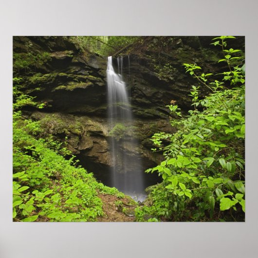 Poster Cascade tombant dans l'évier, Whiteoak Sink, (Devant)