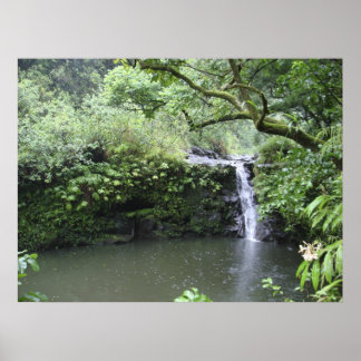 Poster Cascade tropicale de la forêt pluviale