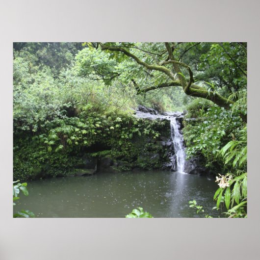 Poster Cascade tropicale de la forêt pluviale (Devant)