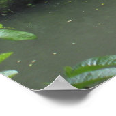 Poster Cascade tropicale de la forêt pluviale (Coin)