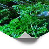Poster Cascade Tropicale En Cascade Dans La Forêt Pluvial (Coin)