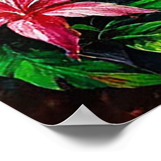 Poster Cascade tropicale luxuriante (Coin)