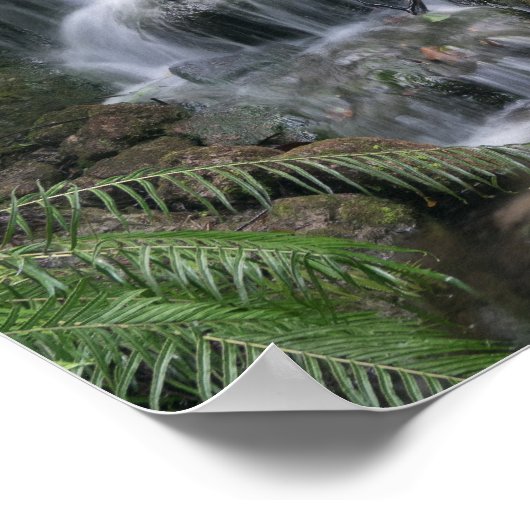 Poster Cascade verte (Coin)
