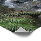 Poster Cascade verte (Coin)