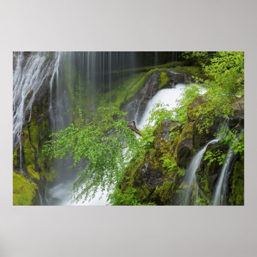 Poster Cascade Verte Scénique (Devant)