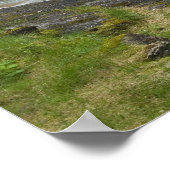 Poster Cascades (Coin)
