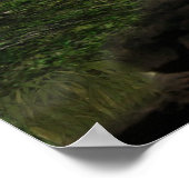 Poster Cascades Cutie Anime Kitten Lune 3 (Coin)