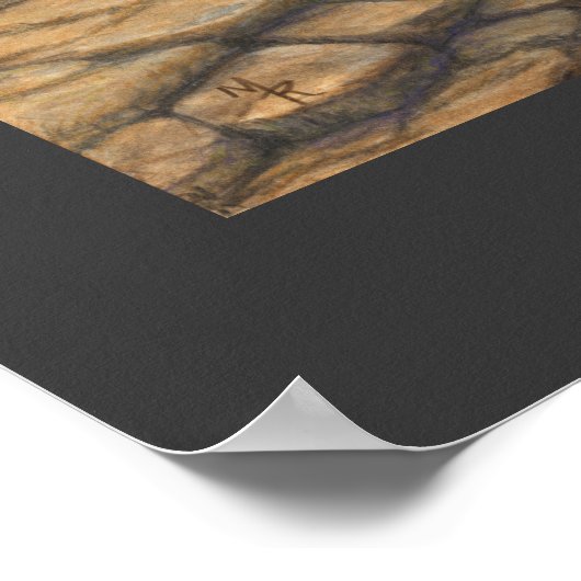 Poster Cascades de Cane Creek - Waterfall Art Imprimer (Coin)