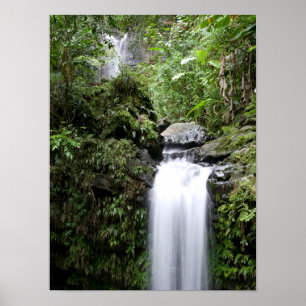 Poster Cascades de Juan Diego