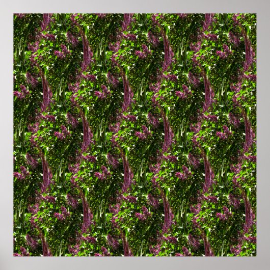 Poster Cascades de Lilac.... (Devant)
