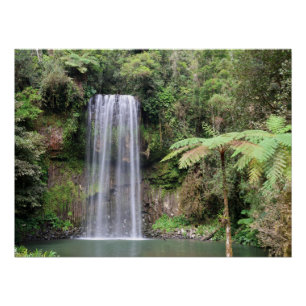 Poster Cascades de Millaa Millaa, photo de la forêt tropi