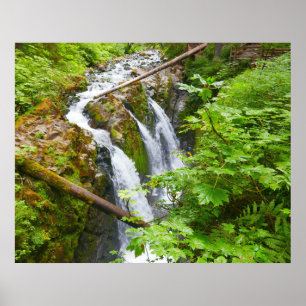 Poster Cascades de Sol Duc II au Parc national Olympique