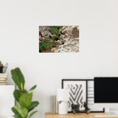 Poster Cascades d'Ein Gedi dans le désert de Judée, Israë (Bureau à domicile)