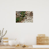 Poster Cascades d'Ein Gedi dans le désert de Judée, Israë (Cuisine)