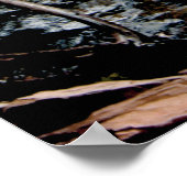 Poster Cascades Great Smokey Mountain NP (Coin)