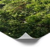 Poster Cascades Kpalime. Togo central, Afrique de l'Ouest (Coin)