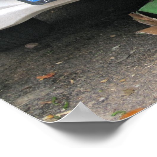 Poster Case 1 (Coin)