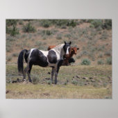 Poster Casino (Devant)