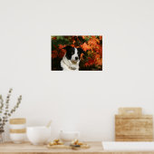 Poster Casque Collie Automne Bordure (Cuisine)