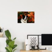 Poster Casque Collie Automne Bordure (Bureau à domicile)