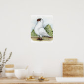 Poster Casque : Pigeon rouge (Cuisine)