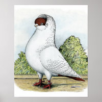 Casque : Pigeon rouge