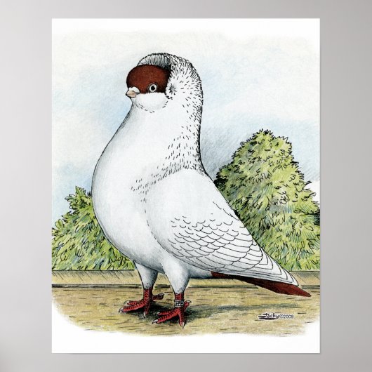 Poster Casque : Pigeon rouge (Devant)